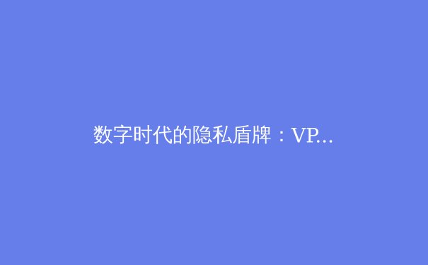 数字时代的隐私盾牌：VPN技术演进与未来趋势深度解析 - 4