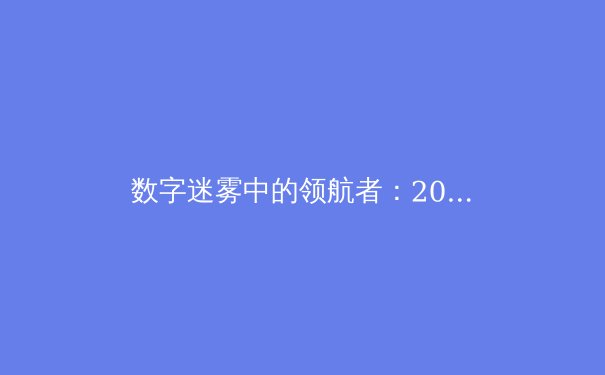 数字迷雾中的领航者：2024年全球VPN技术趋势与隐私保护新视野 - 4
