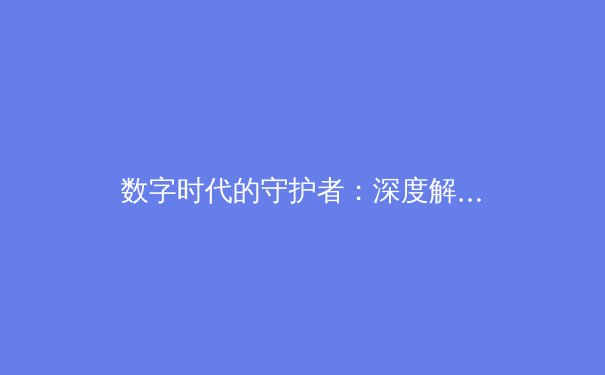 数字时代的守护者：深度解析VPN技术演进与网络安全新趋势 - 3