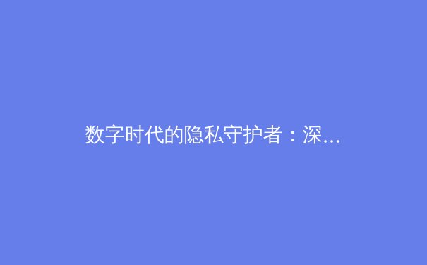 数字时代的隐私守护者：深度解析VPN技术演进与未来趋势