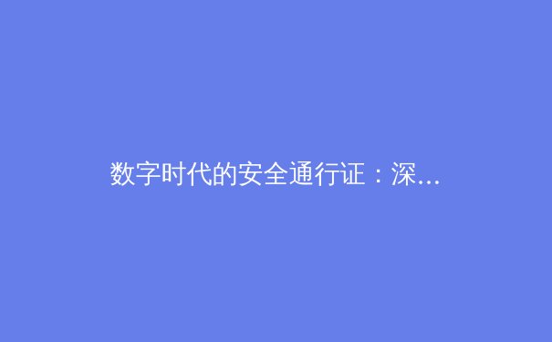数字时代的安全通行证：深度解析VPN技术演进与未来趋势 - 2