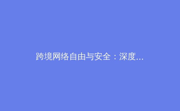 跨境网络自由与安全：深度解析VPN技术演进与合规使用指南 - 3
