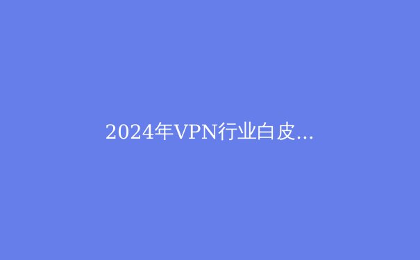 2024年VPN行业白皮书：安全壁垒与数字主权的博弈 - 4