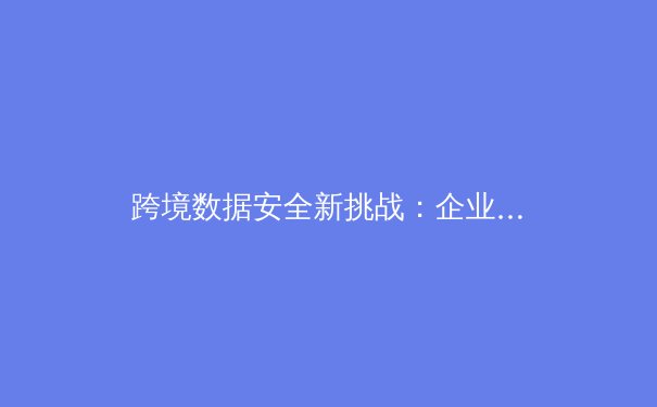 跨境数据安全新挑战：企业级VPN技术演进与合规使用指南 - 3