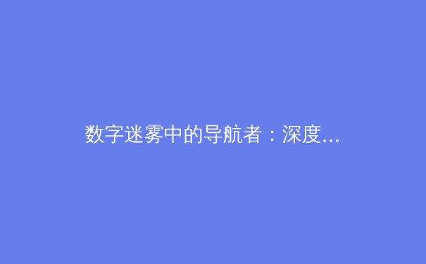 数字迷雾中的导航者：深度解析全球VPN技术演进与隐私保护新趋势