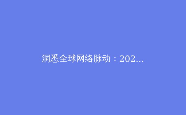 洞悉全球网络脉动：2024年VPN技术趋势与安全应用深度解析