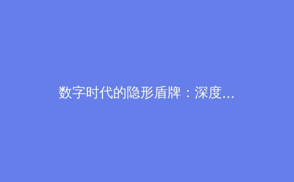 数字时代的隐形盾牌：深度剖析现代VPN技术演进与网络安全格局 - 4