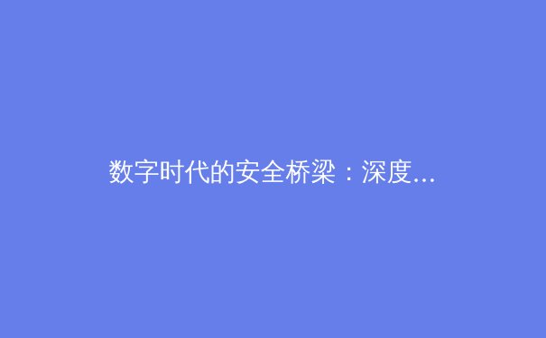 数字时代的安全桥梁：深度解析VPN技术演进与未来趋势 - 2