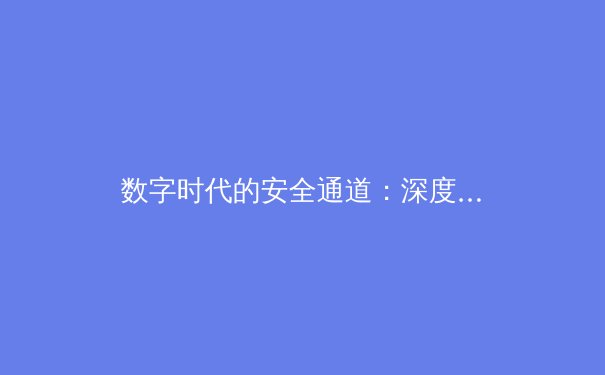 数字时代的安全通道：深度解析VPN技术演进与未来趋势 - 2